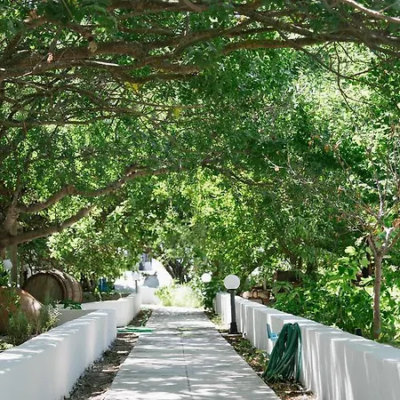 Aparthotel Alkithea Adamantas (Milos)