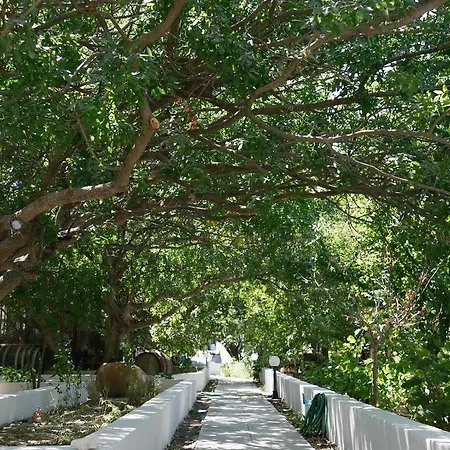 Alkithea Lägenhetshotell 3*