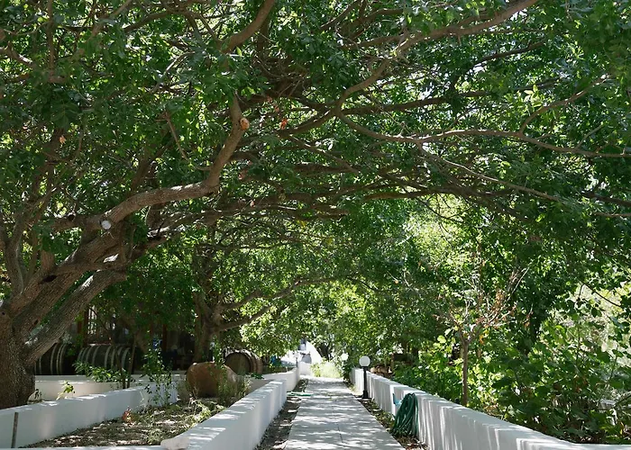 Alkithea Lejlighedshotel 3*